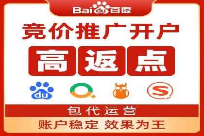 百度推广实战案例：成功之路